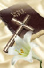 wpda754e8f.jpg